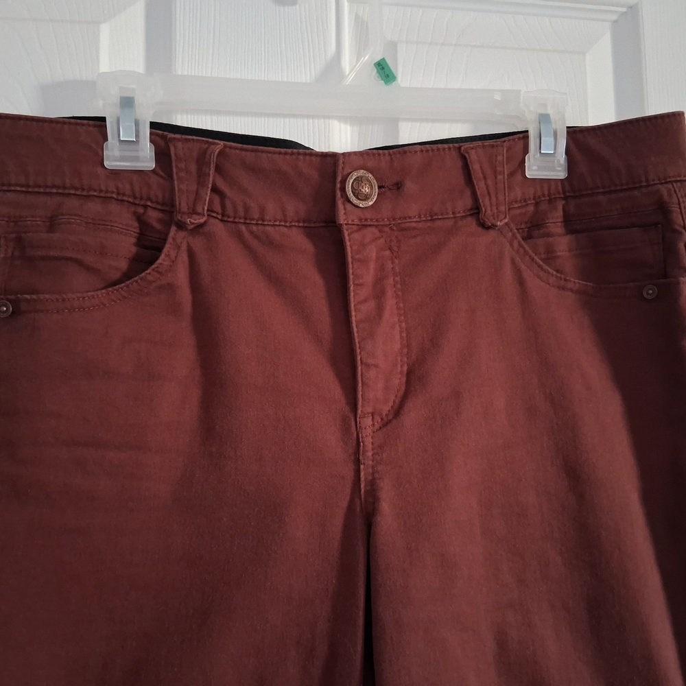 Rust Red Pants - image 2